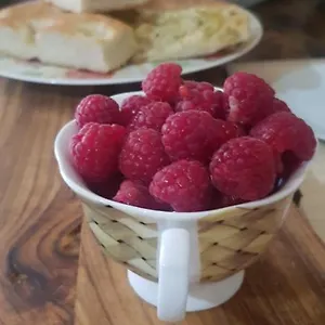 https://bb-la-damigiana-fioi.hotelitalianriviera.com
